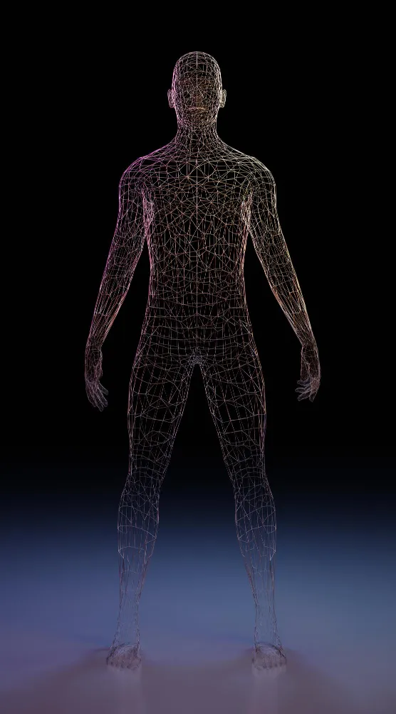 cuerpo humano, sistema integrado